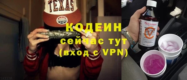 дживик Иннополис