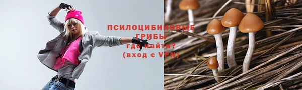 ALPHA PVP Инсар