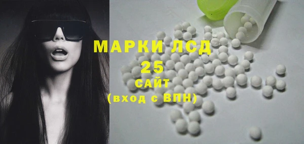 ALPHA PVP Инсар