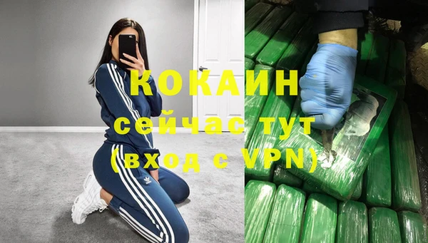 дживик Иннополис