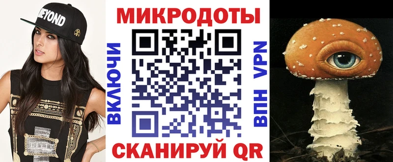 Псилоцибиновые грибы Cubensis  Купить где  Кадников 